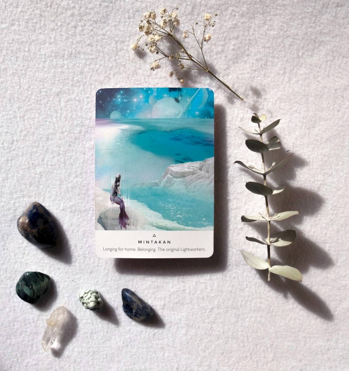 Tarot card with crystals and dried flowers